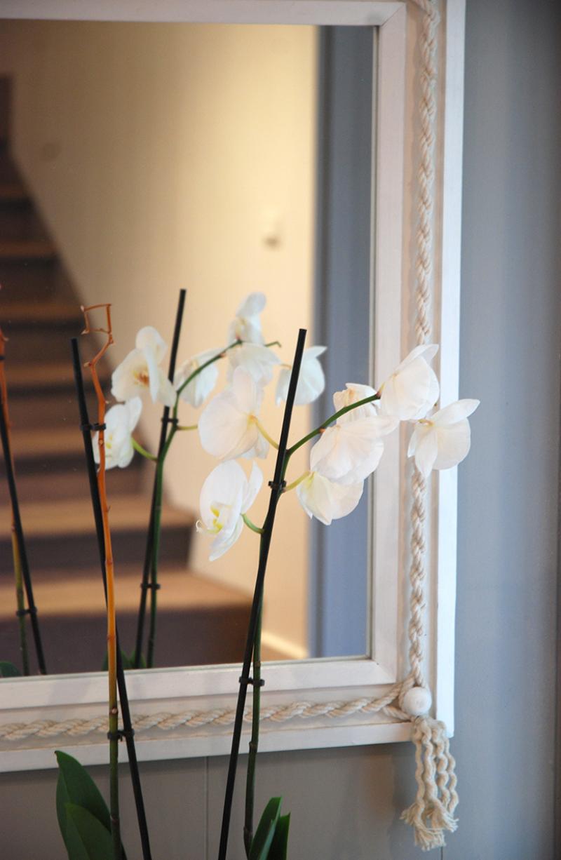 Hôtel Eden, Orchidées